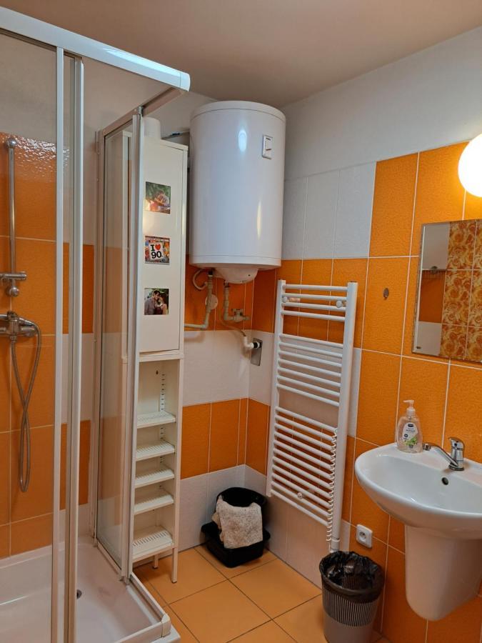 Apartman Max Lipno Lipno nad Vltavou Exteriör bild