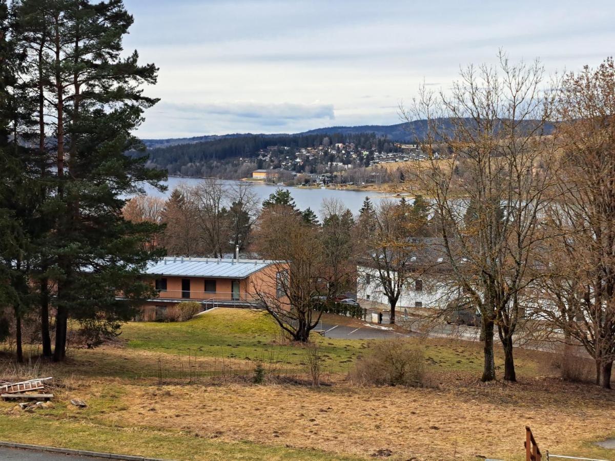 Apartman Max Lipno Lipno nad Vltavou Exteriör bild